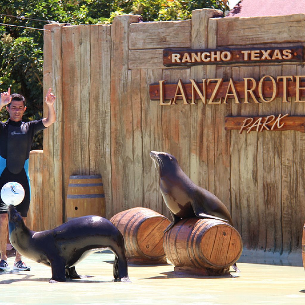 rancho texas fóka show